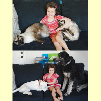 Pet Picture